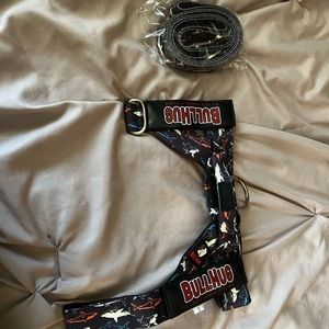 BullHug harness and leash